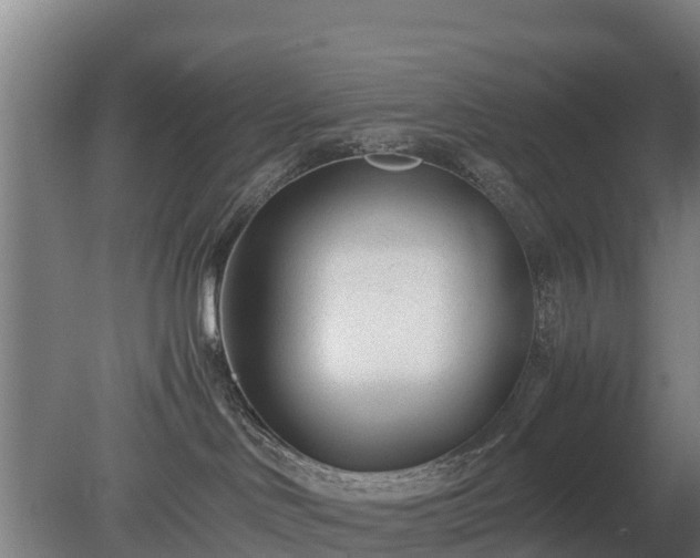 X0000080120046200612151724