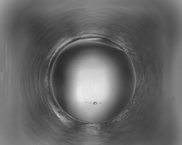 X0000080120050200612151723