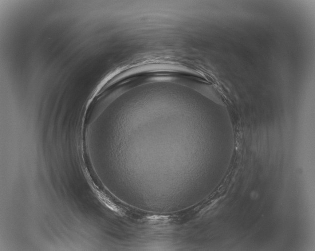X0000080120052200612151723