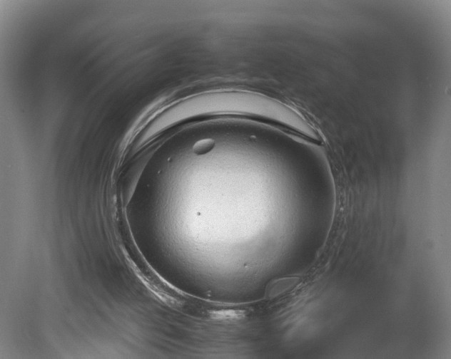 X0000080120053200612151723