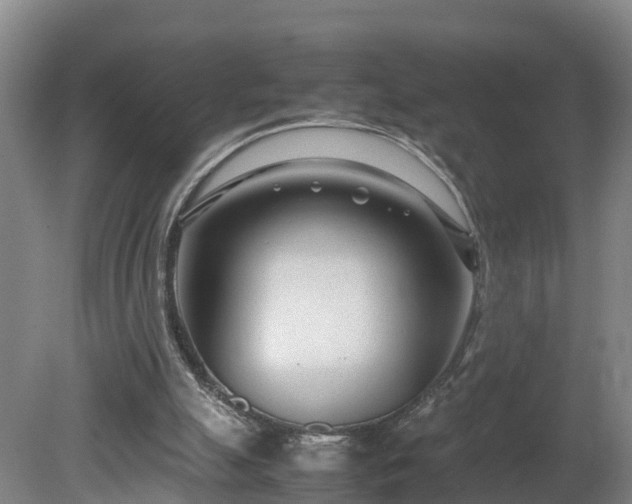 X0000080120055200612151723