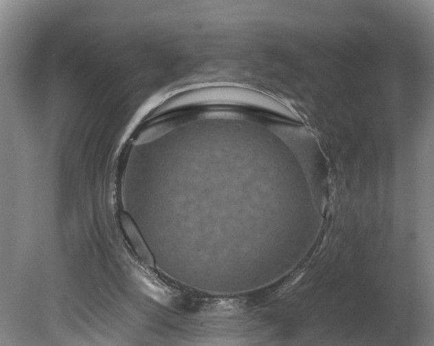X0000080120056200612151723