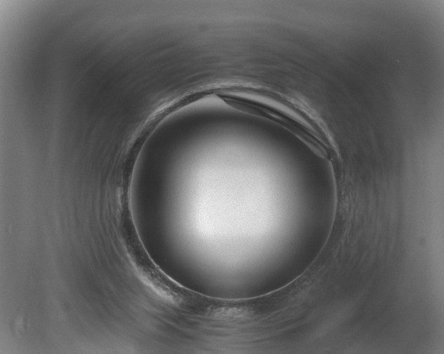 X0000080120063200612151723