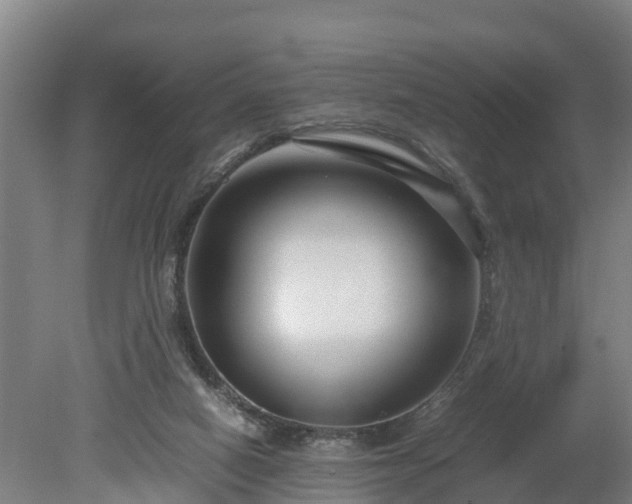 X0000080120066200612151723
