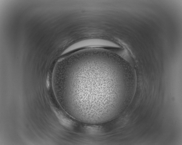 X0000080120069200612151723
