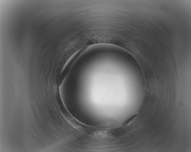 X0000080120086200612151724