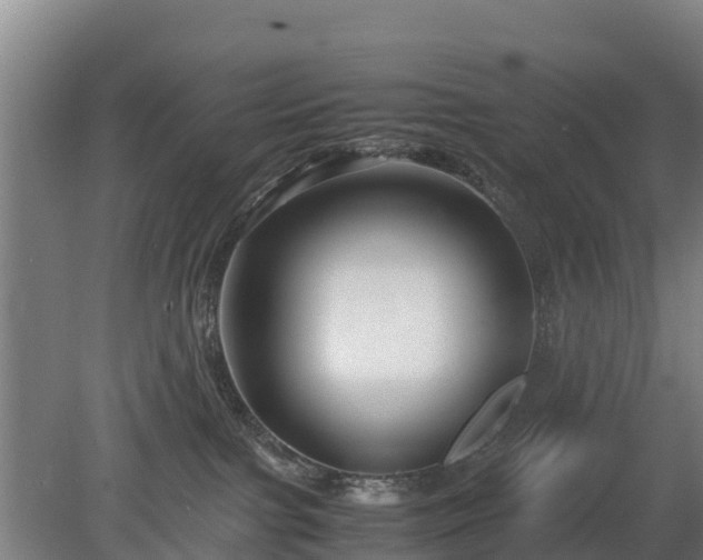 X0000080120091200612151724