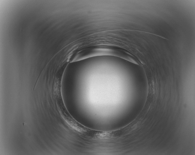 X0000080120092200612151724