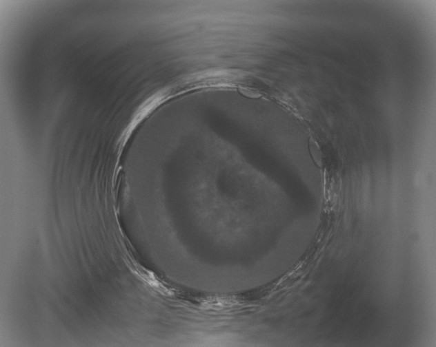 X0000080120099200612151723