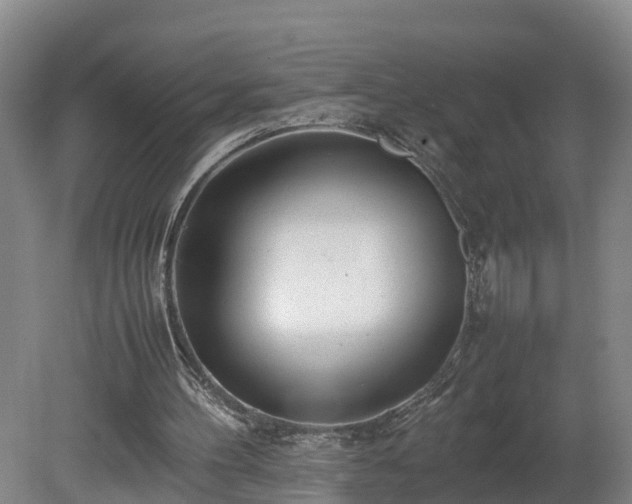 X0000080120100200612151723