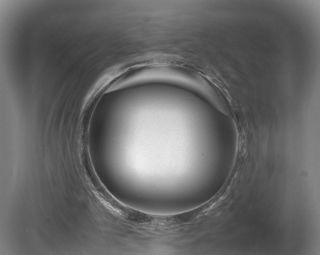 X0000080120101200612151723