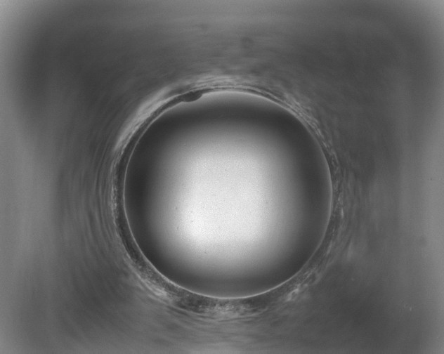 X0000080120103200612151723