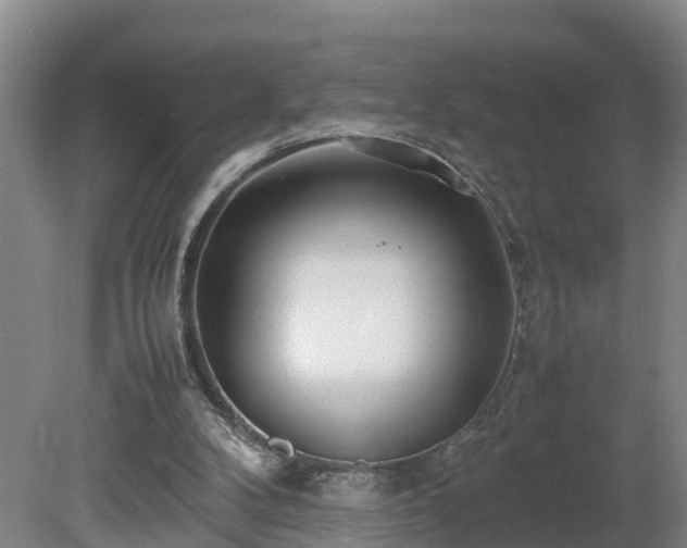 X0000080120104200612151723