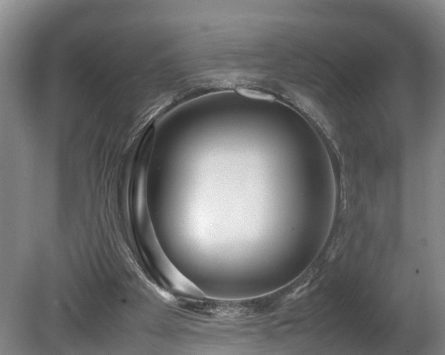 X0000080120105200612151723