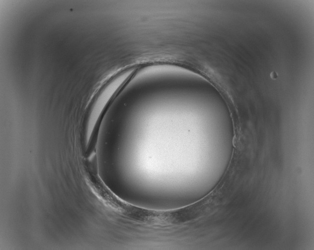 X0000080120107200612151723