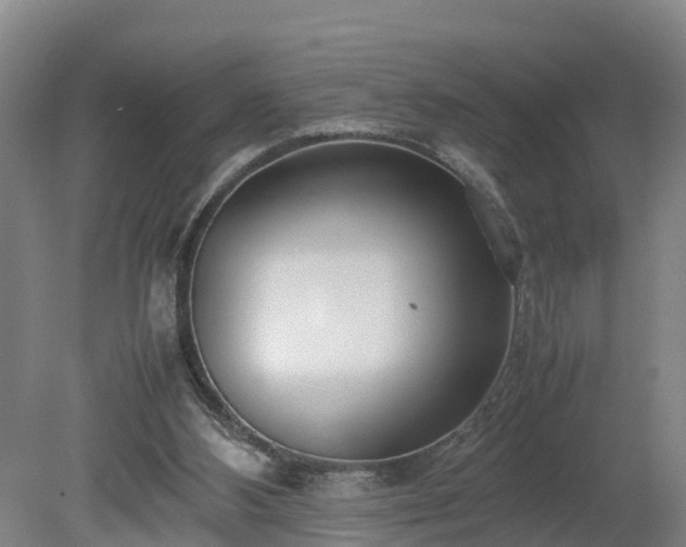 X0000080120108200612151723