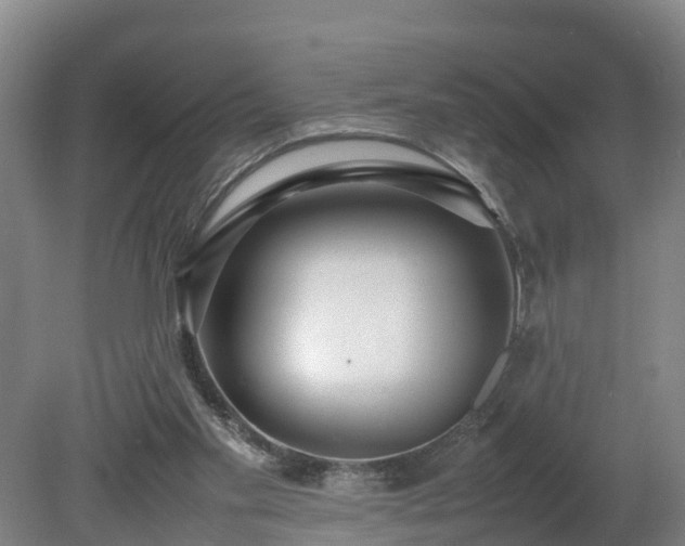 X0000080120109200612151723