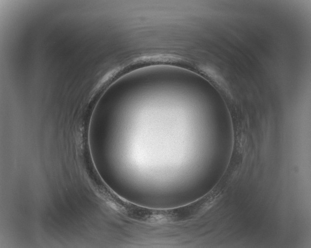 X0000080120111200612151723