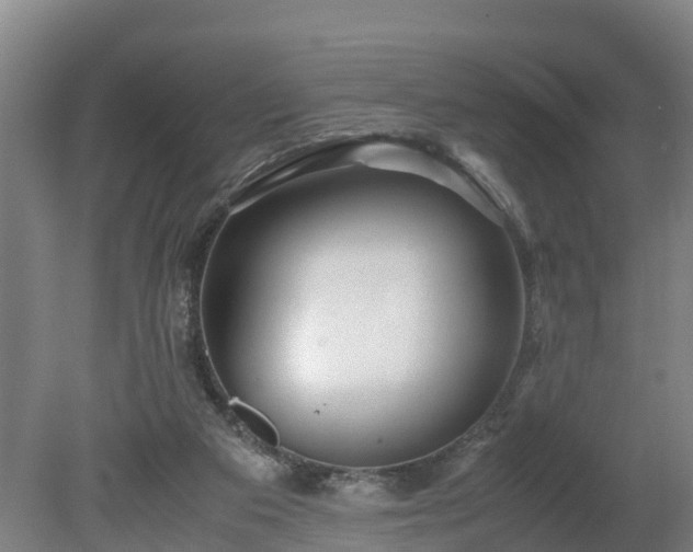X0000080120113200612151723