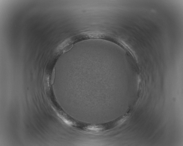 X0000080120117200612151723