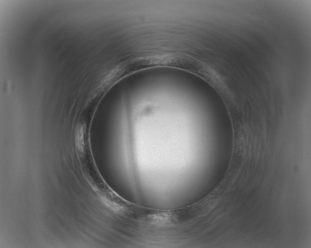 X0000080120118200612151723