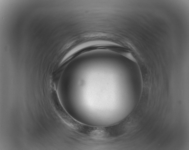 X0000080120119200612151723