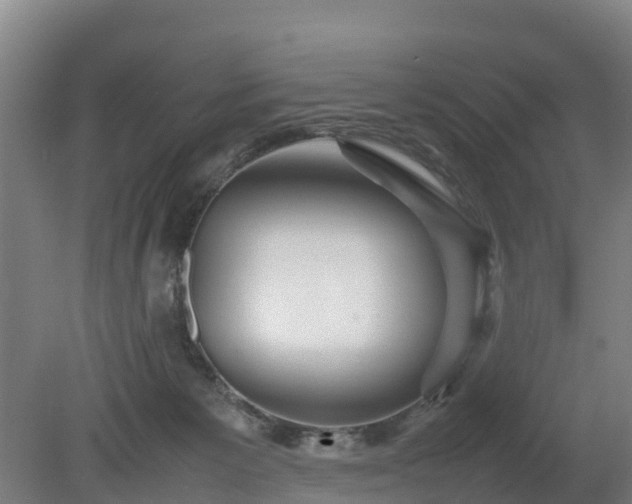 X0000080120125200612151722