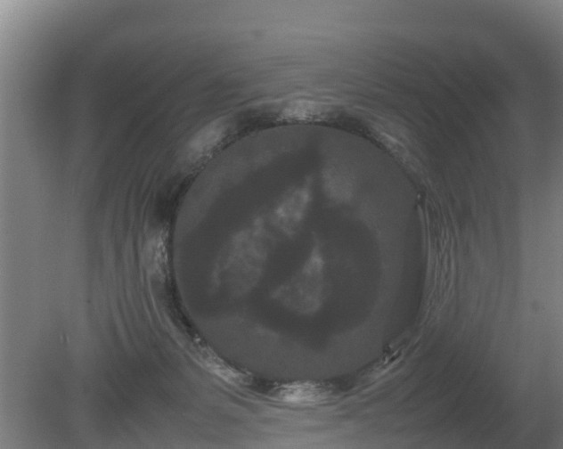 X0000080120127200612151722