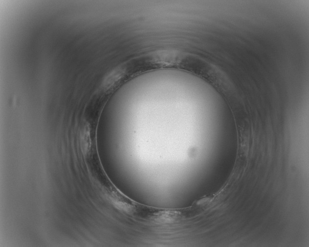 X0000080120128200612151722