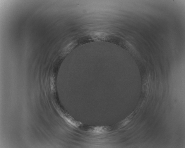 X0000080120130200612151722