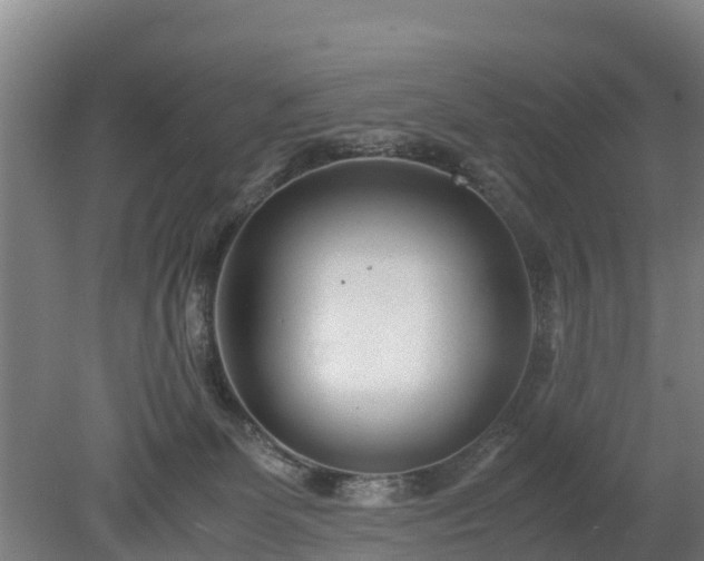 X0000080120131200612151722