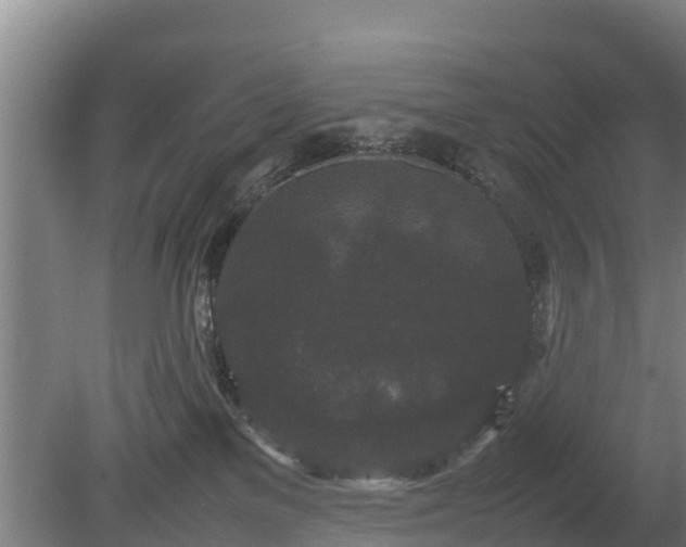 X0000080120137200612151722