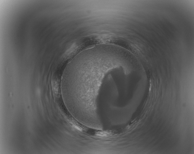 X0000080120139200612151722
