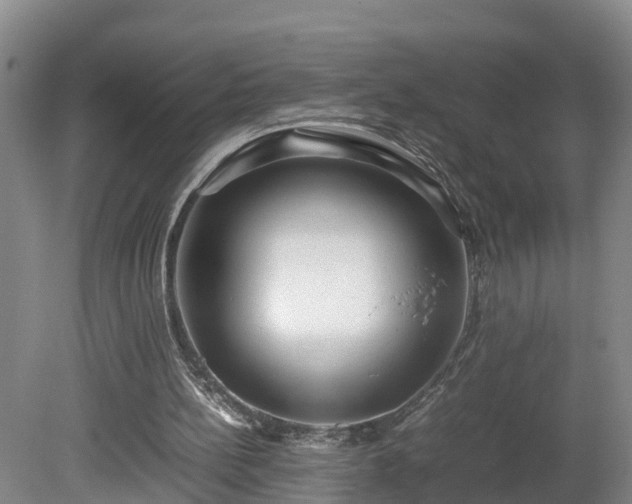 X0000080120148200612151721