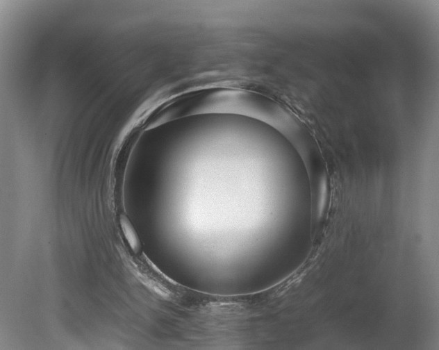 X0000080120150200612151721