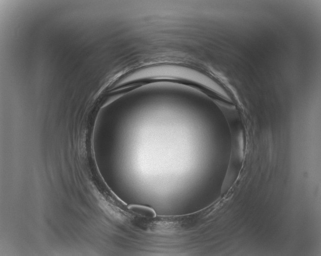 X0000080120154200612151721