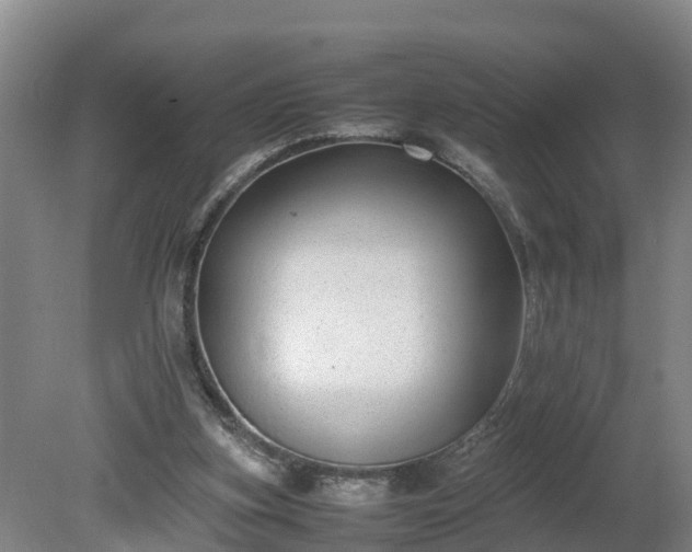 X0000080120155200612151721