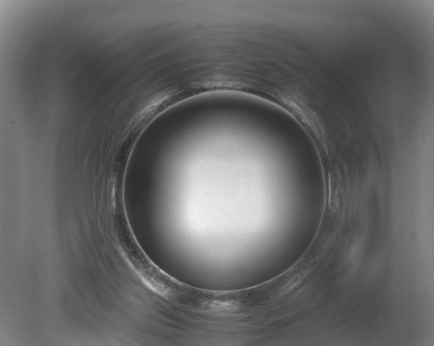 X0000080120157200612151722