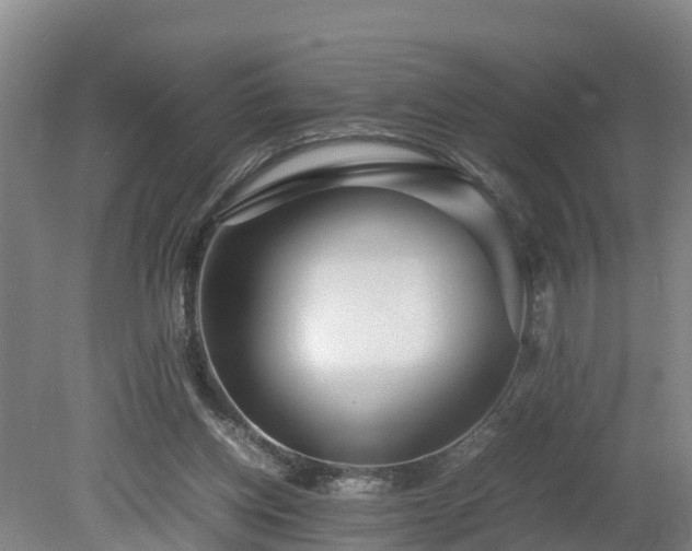 X0000080120158200612151722