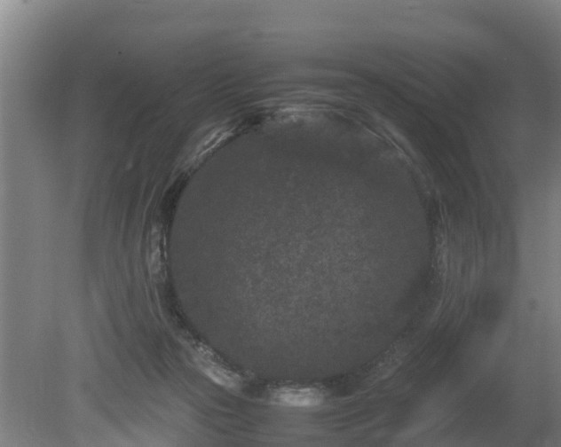 X0000080120169200612151722