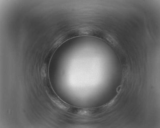 X0000080120174200612151722