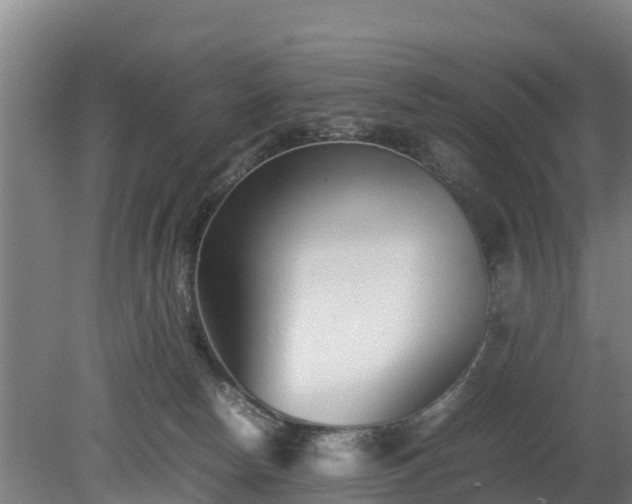X0000080120178200612151722