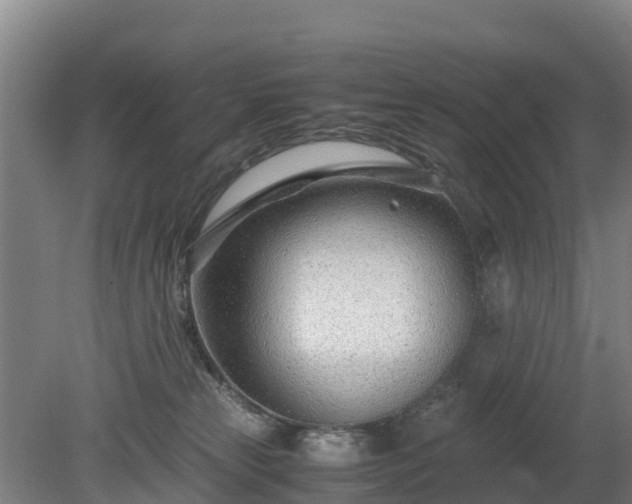 X0000080120181200612151722