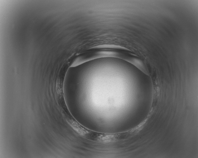 X0000080120186200612151722