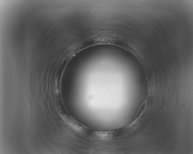 X0000080120187200612151722