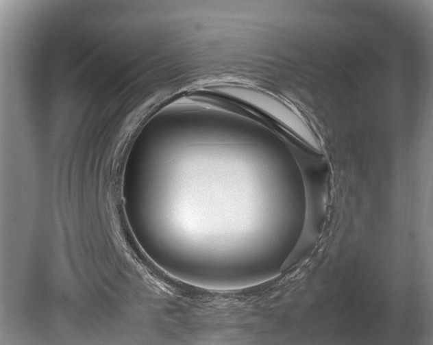 X0000080120193200612151721