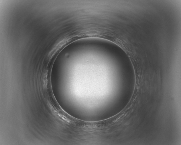 X0000080120194200612151721