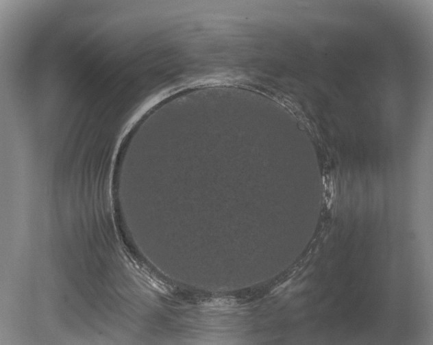 X0000080120196200612151721