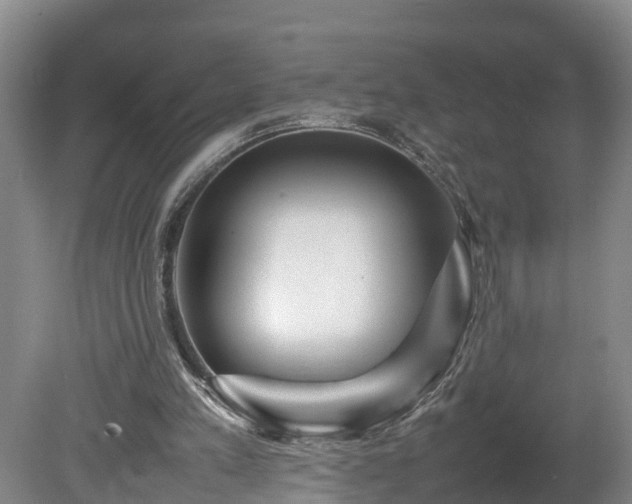 X0000080120197200612151721