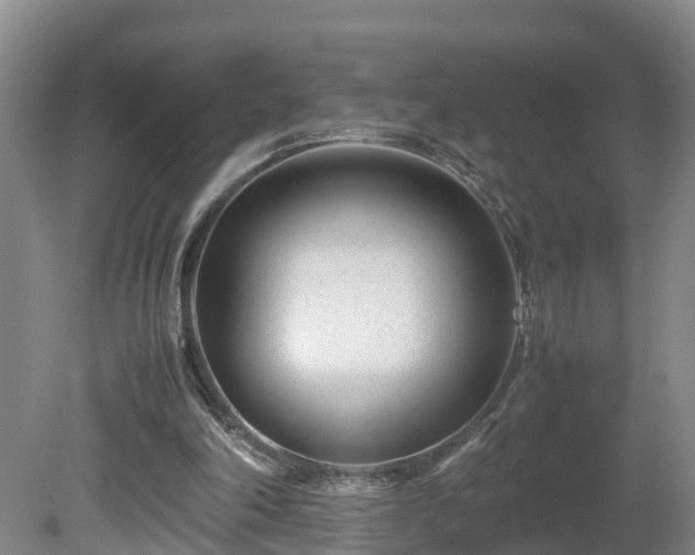 X0000080120198200612151721